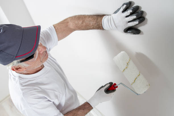 Dehumidification Services in Vienna, IL