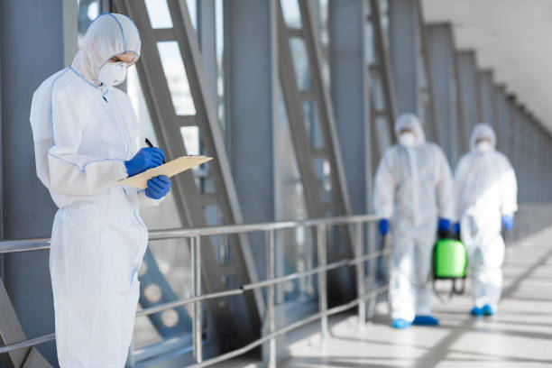  Vienna, IL Mold Removal Pros