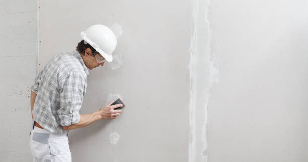 Best Forensic Mold Investigation  in Vienna, IL