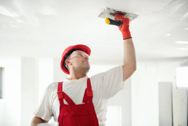 Best Mold Prevention Services  in Vienna, IL