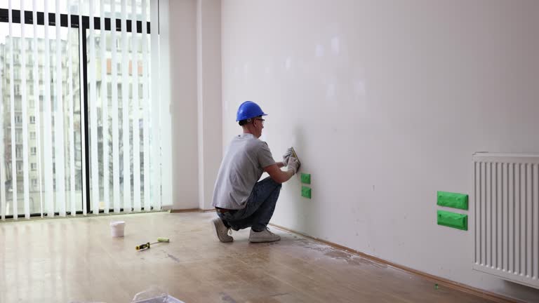 Best Mold Remediation for Rental Properties  in Vienna, IL