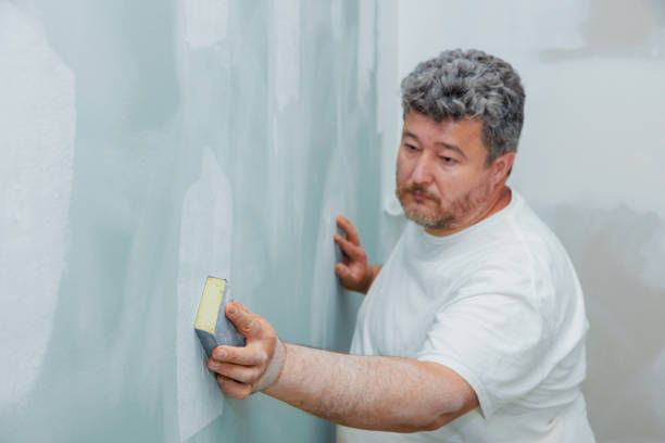 Best Environmental Consulting for Mold Prevention  in Vienna, IL