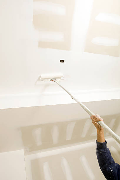 Best Asbestos and Lead Testing During Mold Inspection  in Vienna, IL