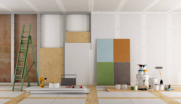 Best Basement Mold Removal  in Vienna, IL
