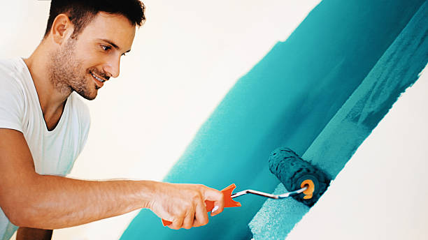 Best Mold Damage Restoration  in Vienna, IL