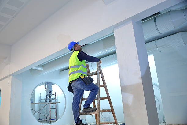 Best Dehumidification Services  in Vienna, IL